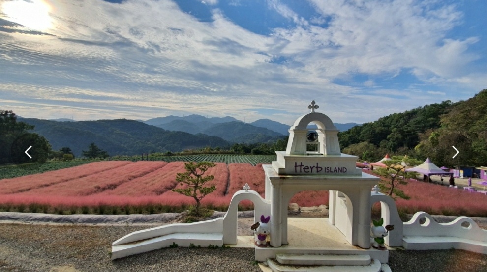 가을 꽃 축제 일정과 지역