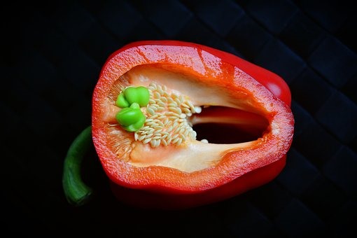 피망 효능