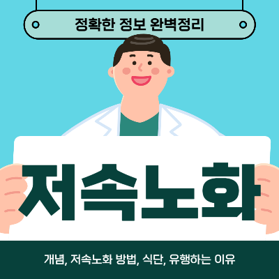 저속노화 식단