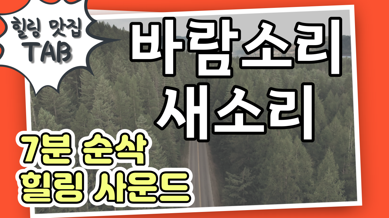  불면증치료법/스트레스해소법/힐링사운드 - 바람소리,새소리