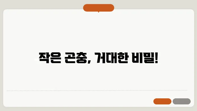 파리자리 작은 곤충의 비밀