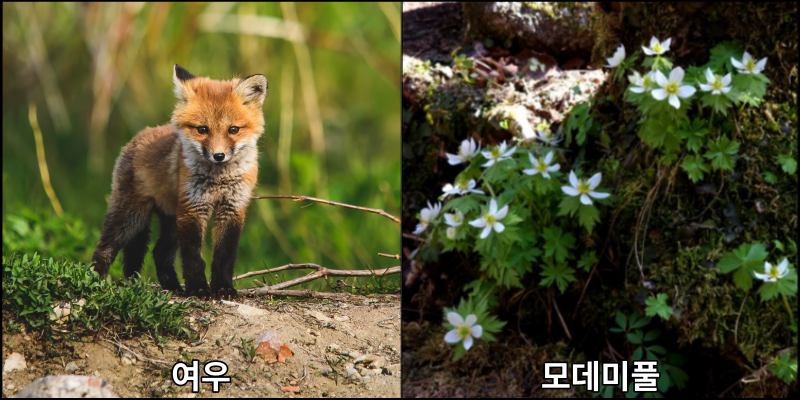 소백산국립공원사무소 이미지