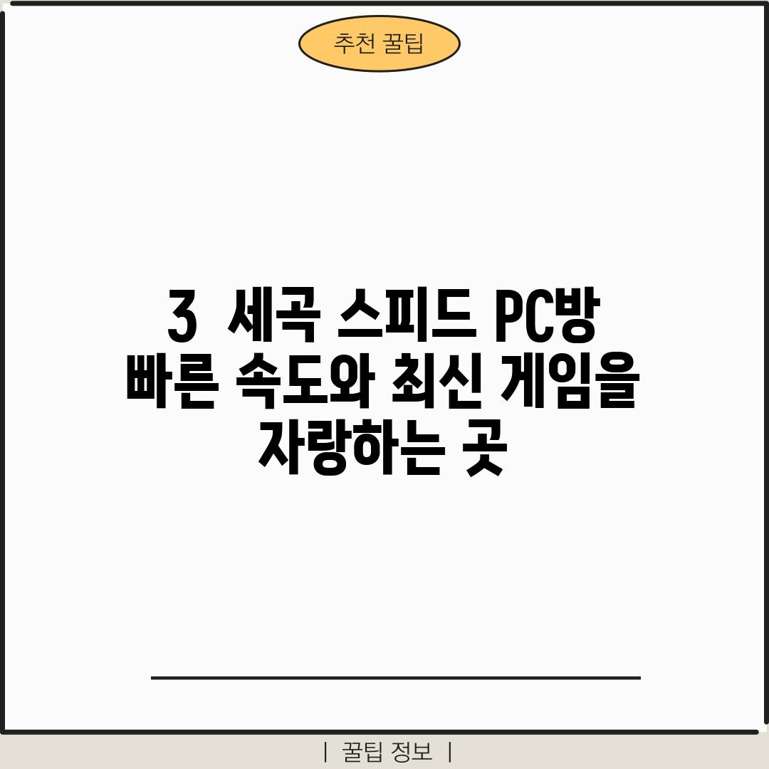 3.  세곡 스피드 PC방: 빠른 속도와 최신 게임을 자랑하는 곳