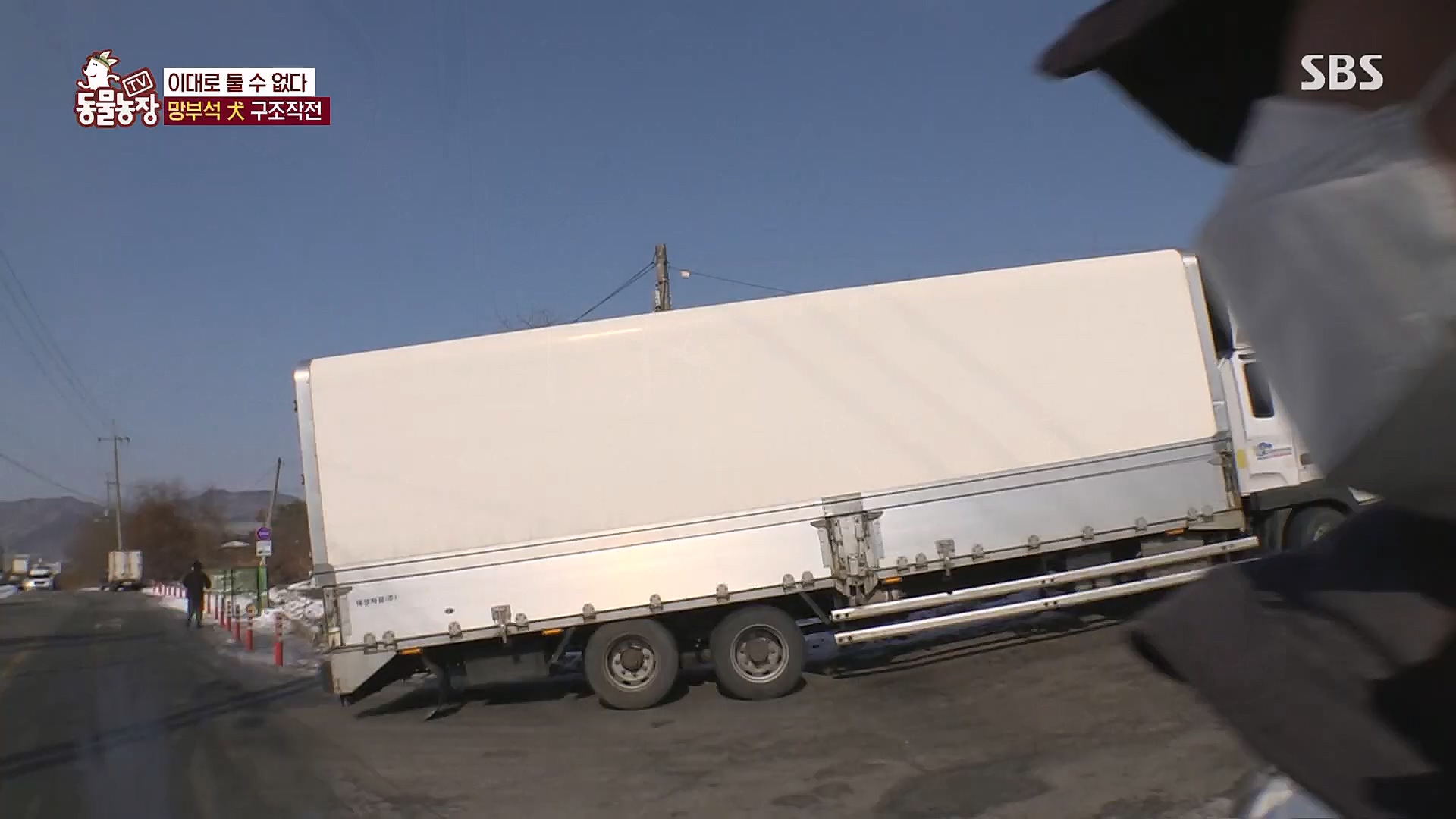 TV 동물농장.E1104.230115p.H264-F1RST.mp4_20230115_173217.511.jpg