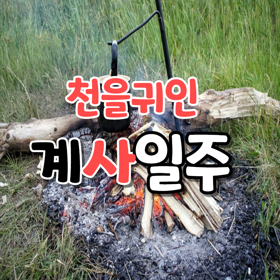  30. 천을귀인, 계사일주
