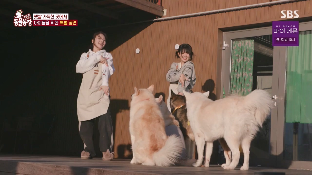 TV 동물농장.E1147.231127p-NEXT.mp4_20231126_170357.895.jpg