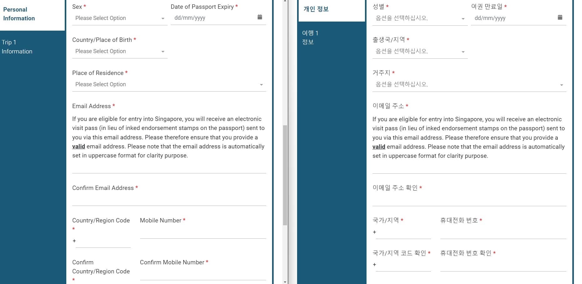입국신고서네번째화면