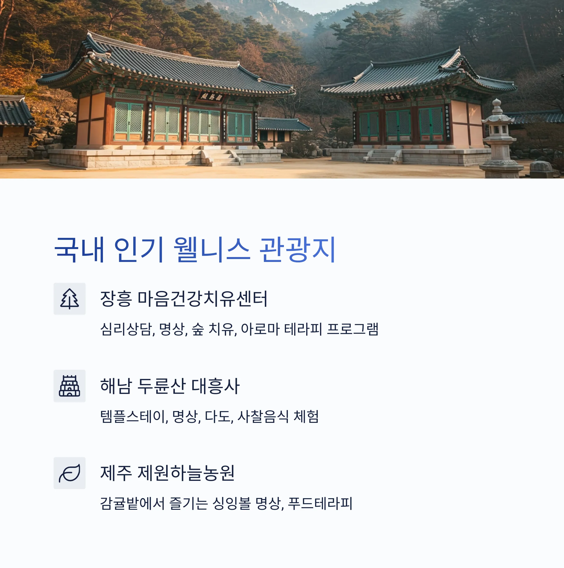 웰니스 관광