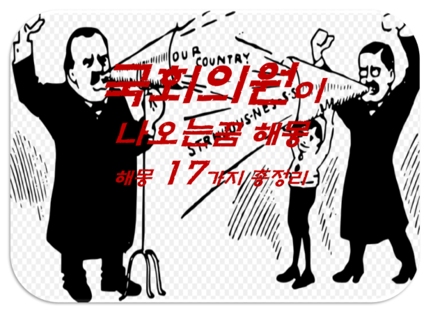  국회의원 만나는 꿈 해몽 17가지 총정리