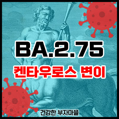 BA.2.75 켄타우로스 코로나 변이