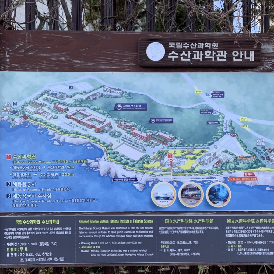 주차 꿀팁 (Hint : 해파랑길 2코스) 부산 여행 필수 코스! 해동용궁사 17