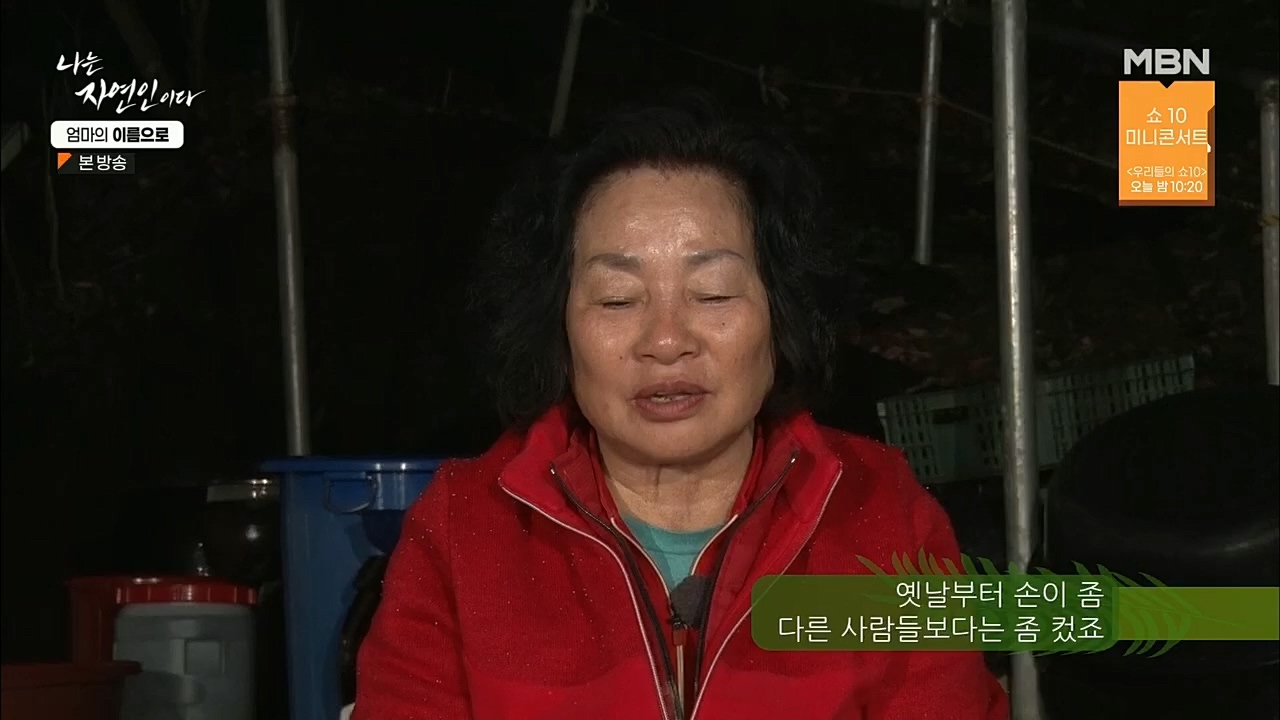 나는 자연인이다.E531.221208p.H264-F1RST.mp4_20221208_204241.398.jpg