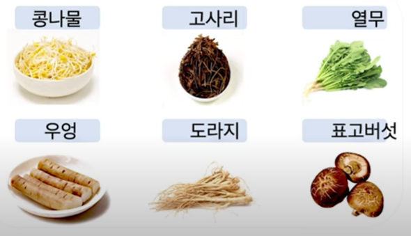 섬유소가 많은 식품