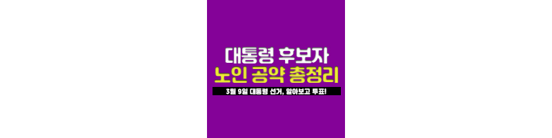 대통령후보-노인공약