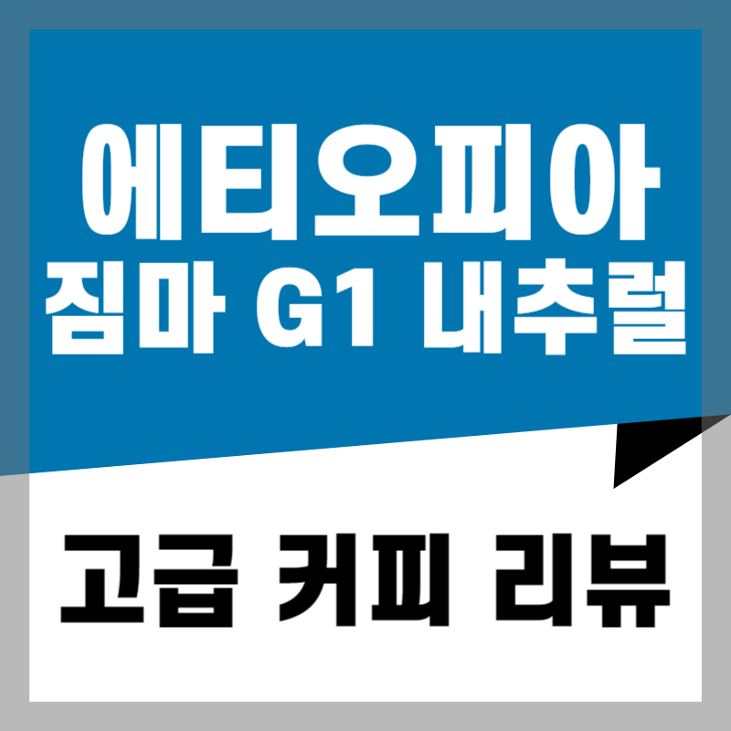 2024 에티오피아 압두르만 아바불구 G1 내추럴 고급 커피 리뷰와 추천