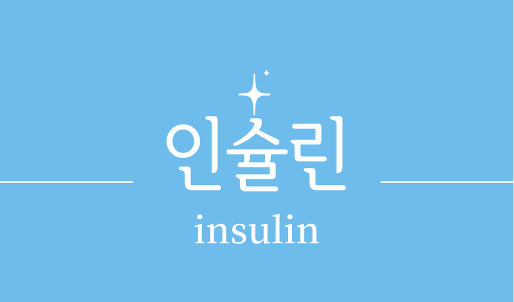 &#39;인슐린(insulin)&#39;