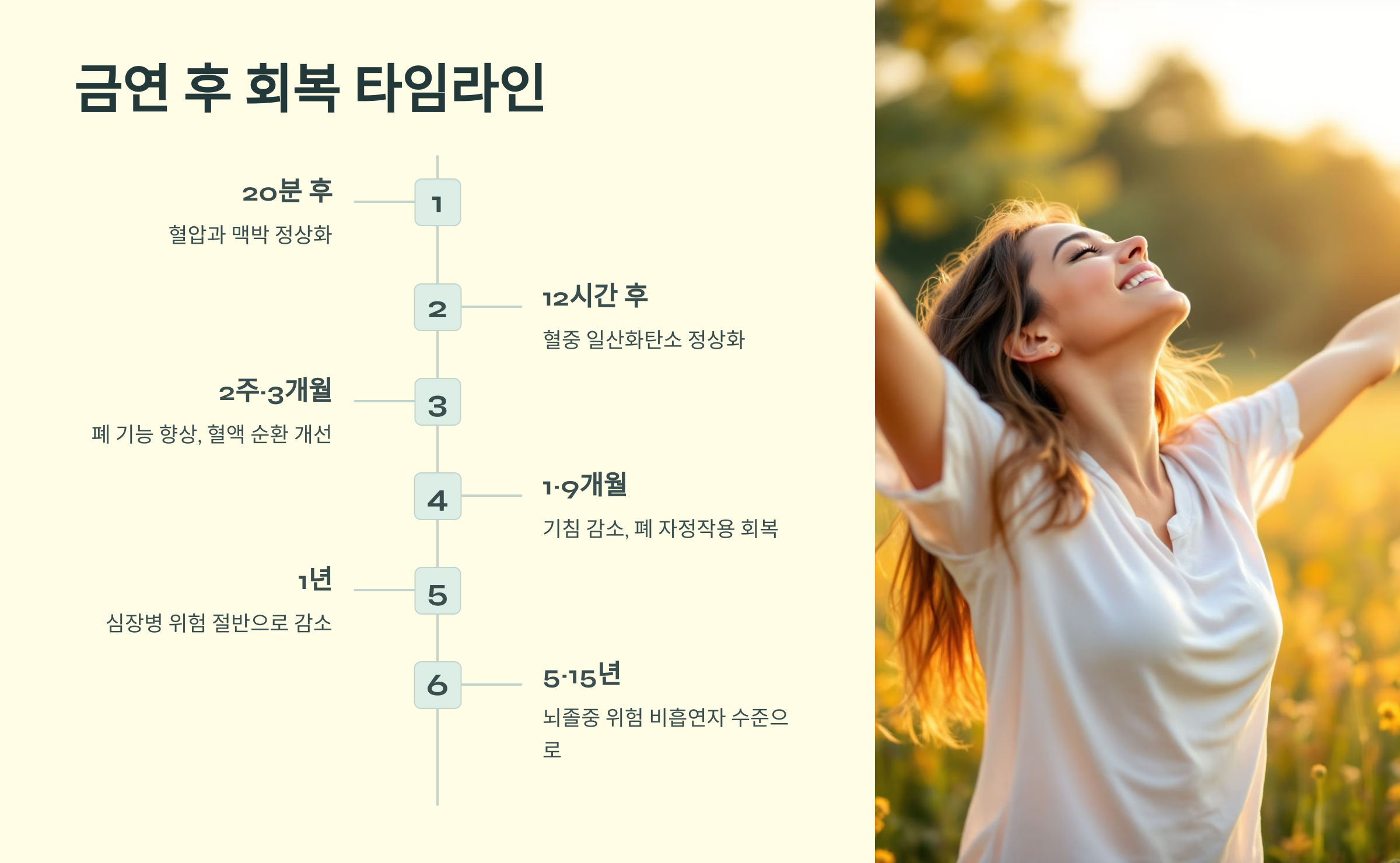 금연 후 회복 타임라인
