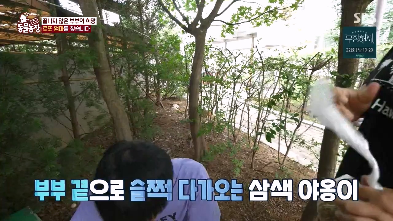 TV 동물농장.E1134.230821p-NEXT.mp4_20230820_193351.322.jpg
