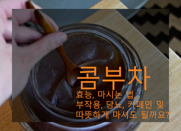 콤부차 효능, 마시는 법, 부작용, 당뇨, 카페인 및 따뜻하게 마셔도 될까요?