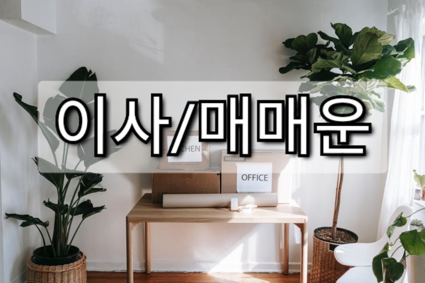 사주 이사 매매운 보는 법, 이사운 무료 사이트 모음