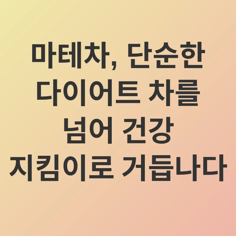마테차 다이어트_3