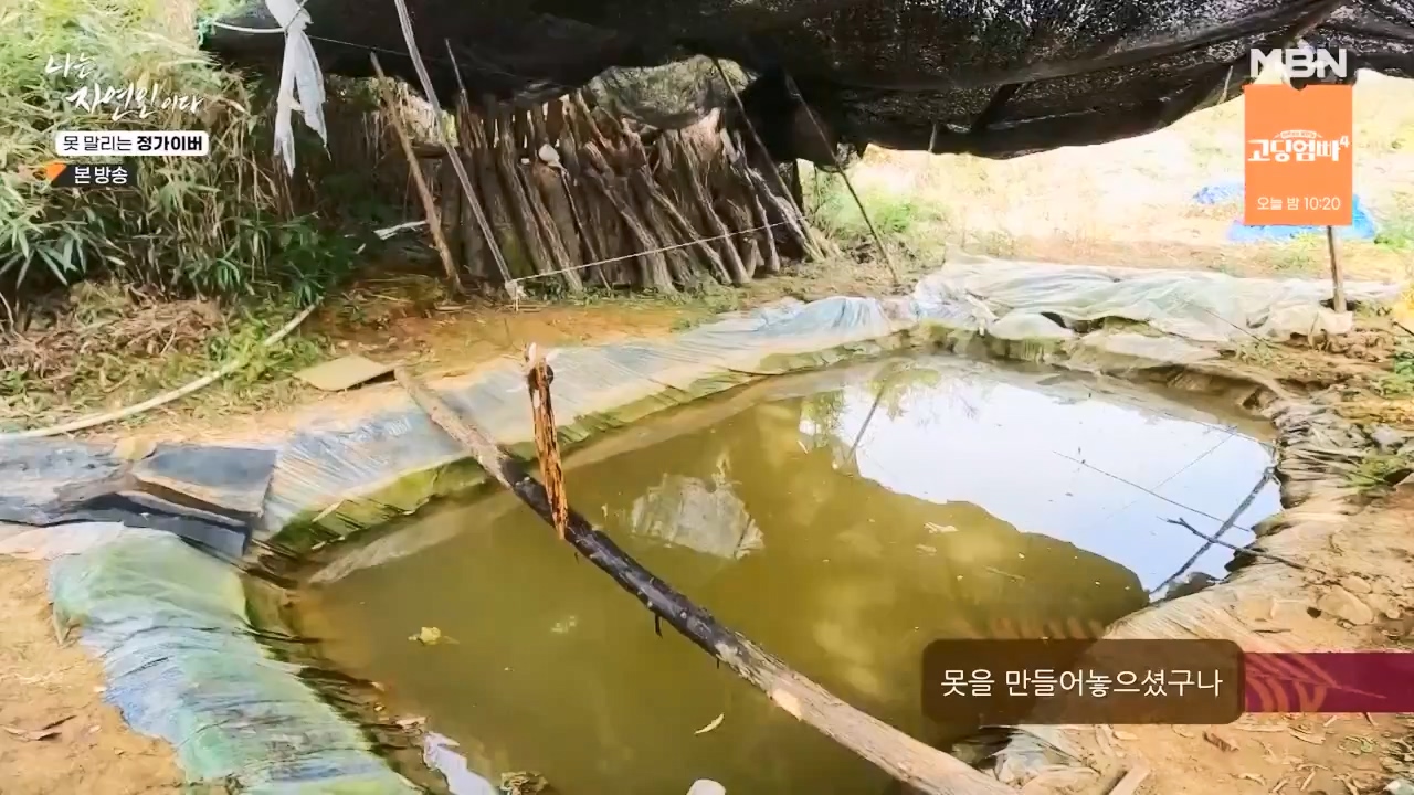 나는 자연인이다.E580.231116p-NEXT.mp4_20231116_202502.837.jpg