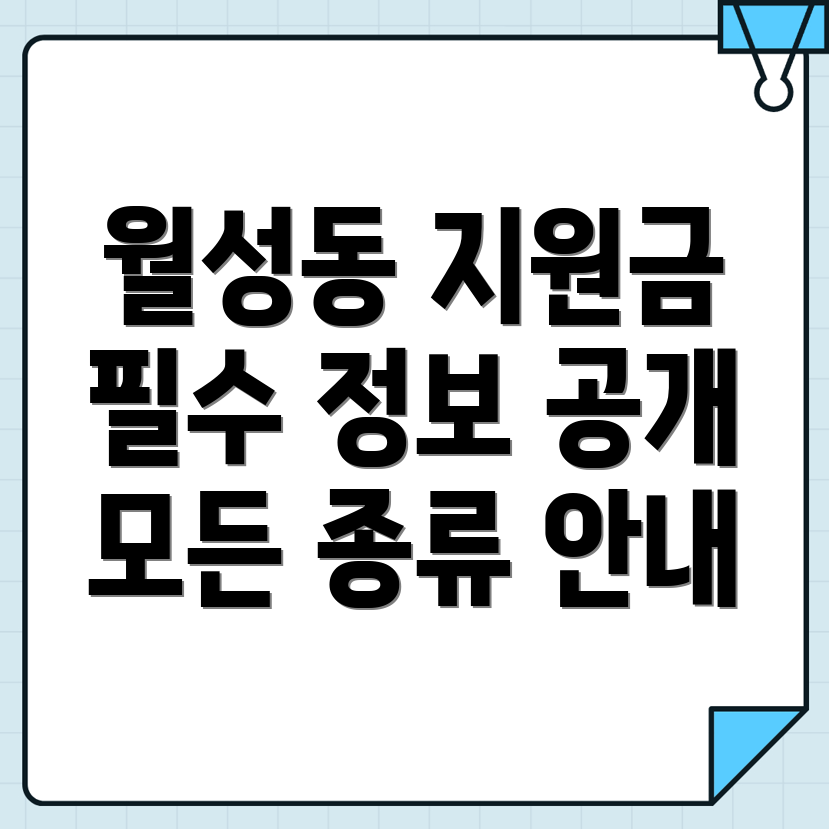정부지원금