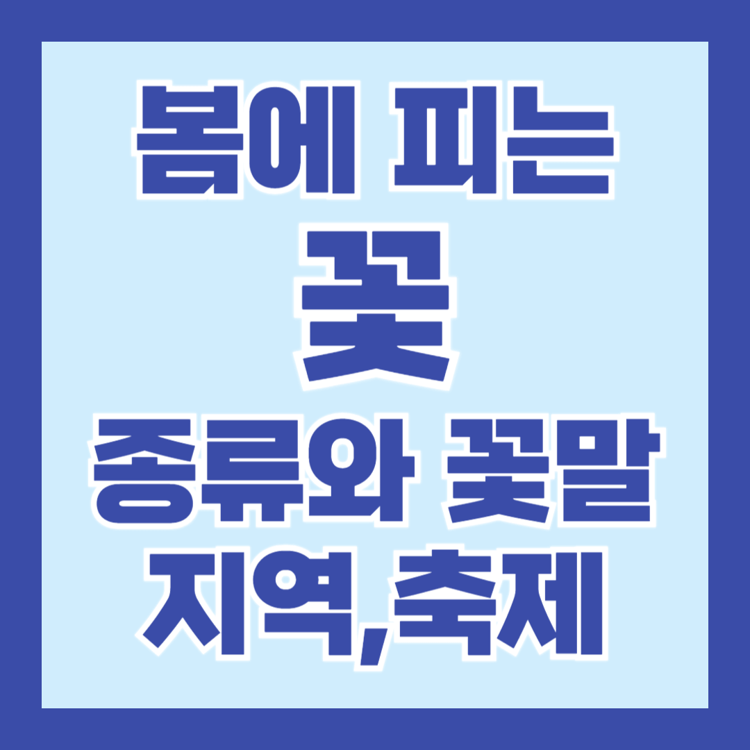 봄꽃-종류-꽃말-지역-축제