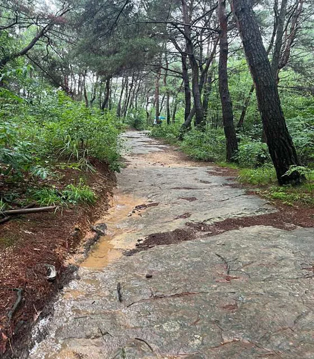 부용대