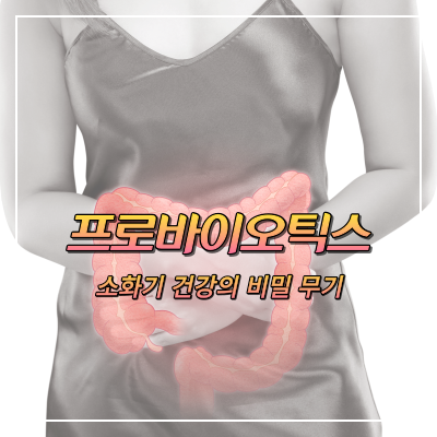 프로바이오틱스: 소화기 건강의 비밀 무기