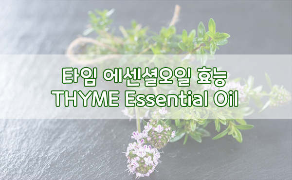 thyme-oil-타임오일