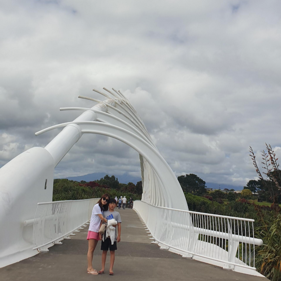 Te Rewa Rewa Bridge