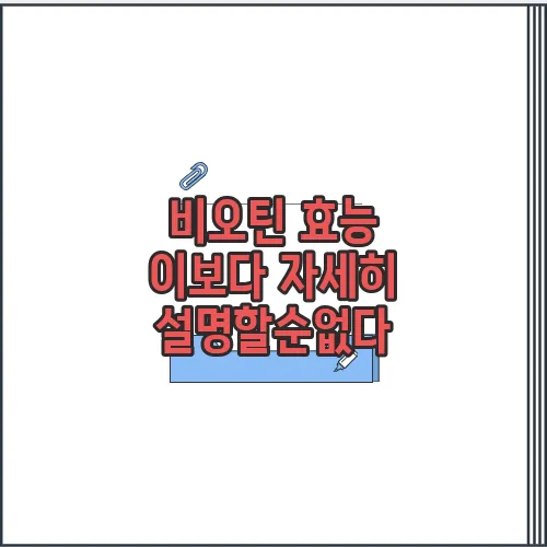 비오틴 효능  이보다 자세히 설명할순없다