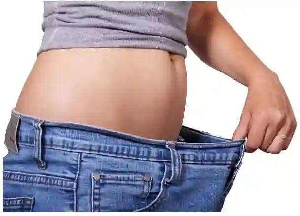 다이어트 햄버거 브랜드별 칼로리 단백질 함량 비교