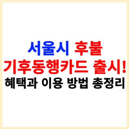서울시 후불 기후동행카드 출시! 혜택과 이용 방법 총정리