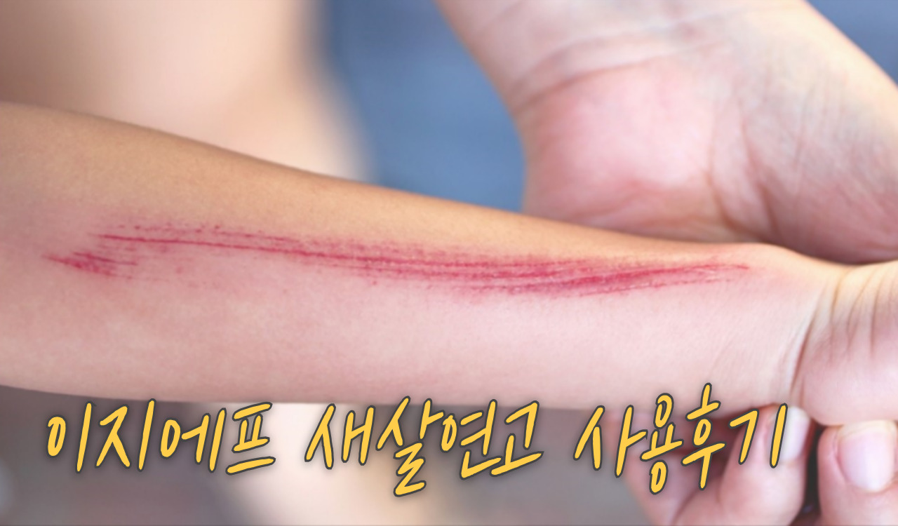 사용후기