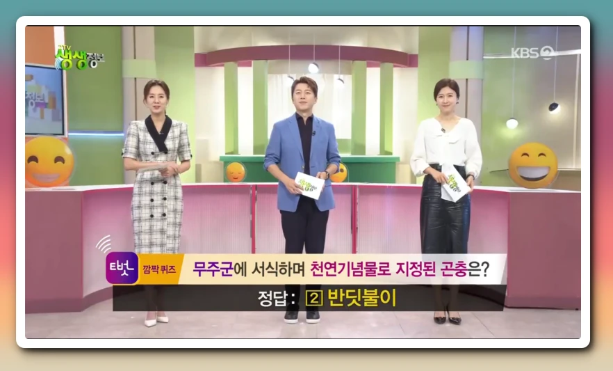 생생정보 티벗 2TV 깜짝 퀴즈 문제 정답 발표