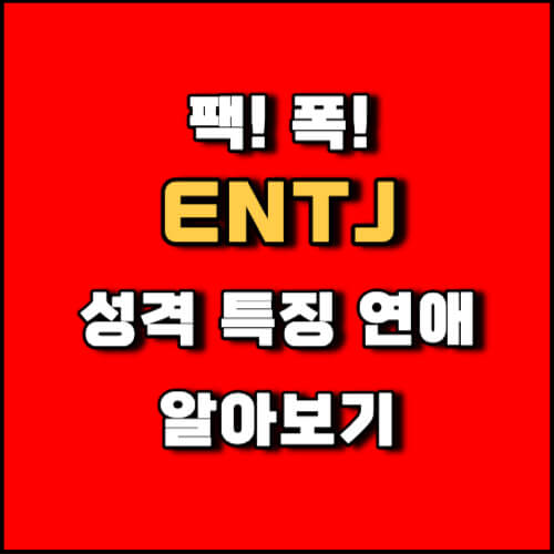 MBTI 통솔자 ENTJ 성격 유형 연애 특징 팩폭