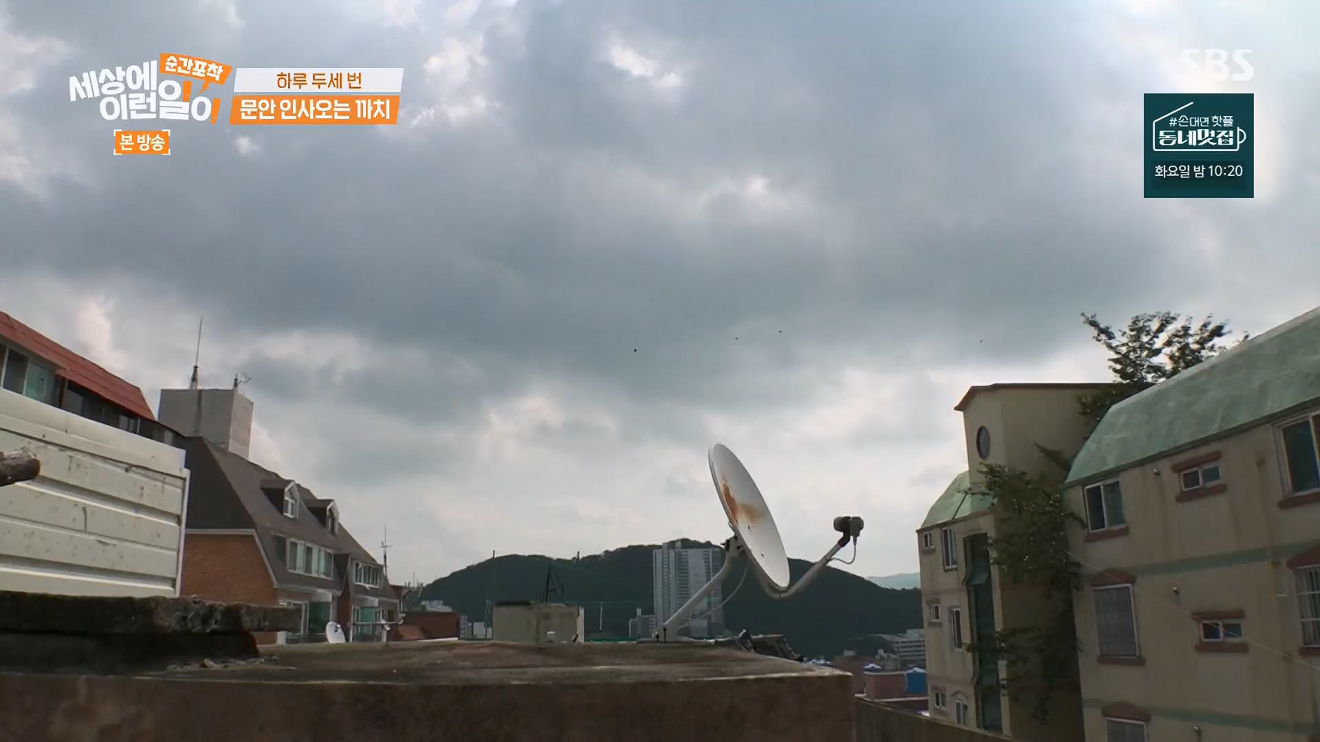 순간포착 세상에 이런일이.E1245.230909p.H264-F1RST.mp4_20230910_171525.501.jpg