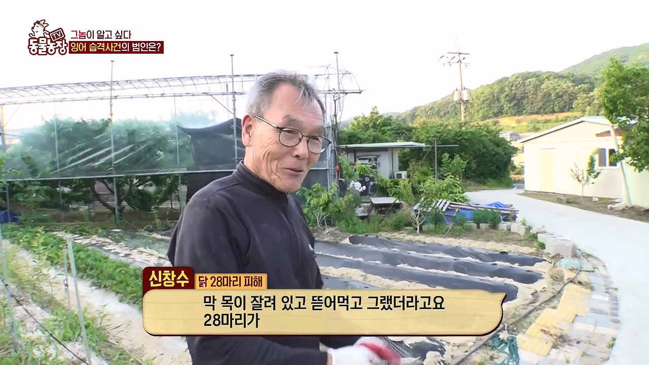 TV 동물농장.E1178.240630.ts_20240630_164646.192.jpg