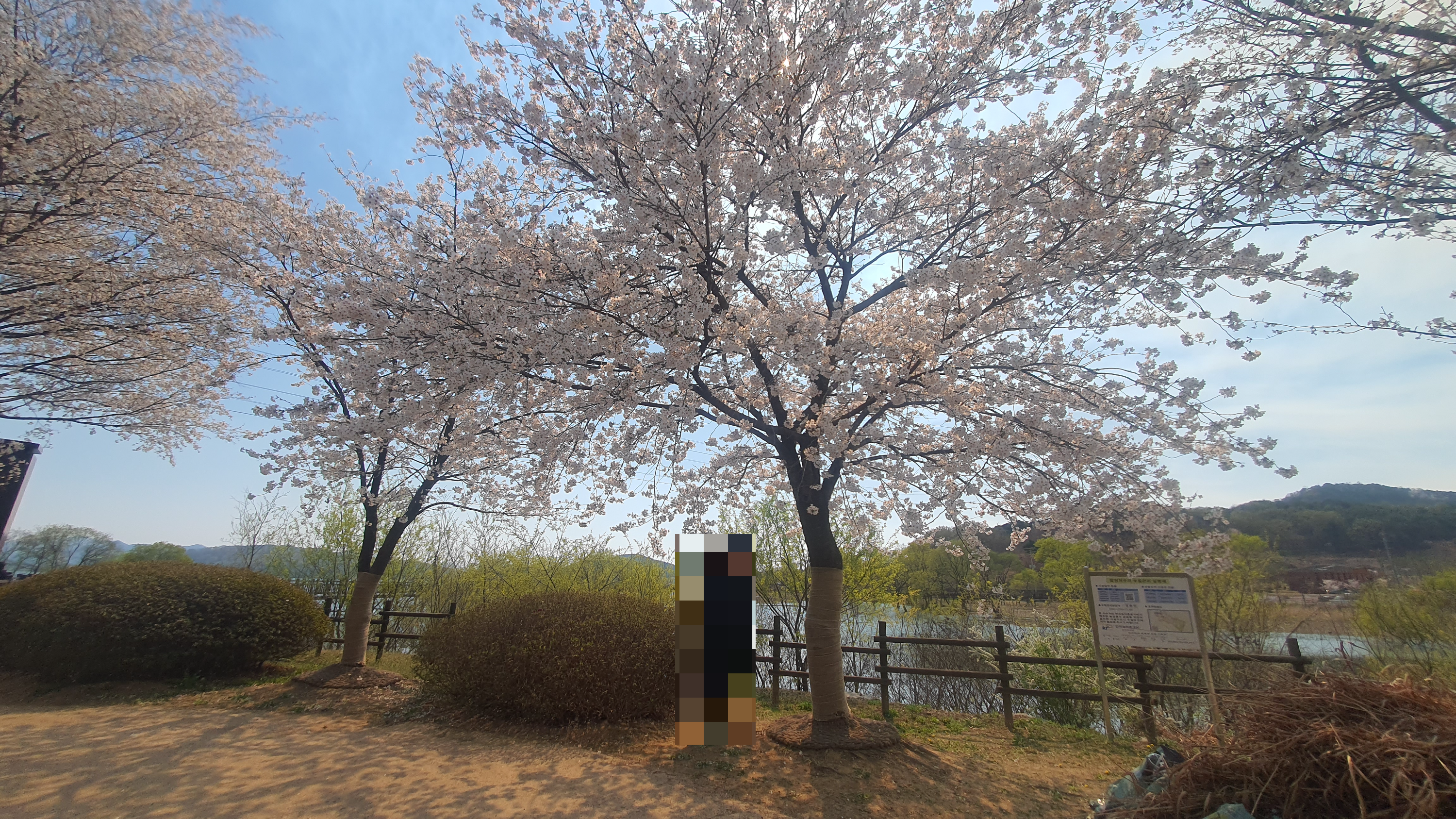 논산 탑정호 수변생태공원 : 아이와 봄나들이 하기 좋은 곳