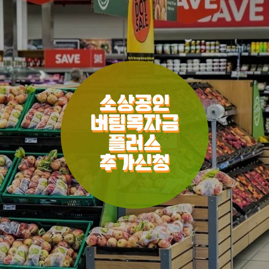  소상공인 버팀목자금 플러스 추가 지급 신청방법
