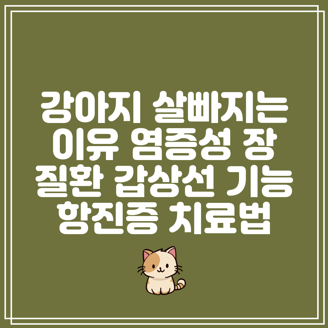 강아지 살빠지는 이유 염증성 장 질환 갑상선 기능 항진