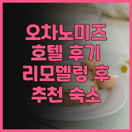 호텔 마이스테이스 오차노미즈 컨퍼런스
