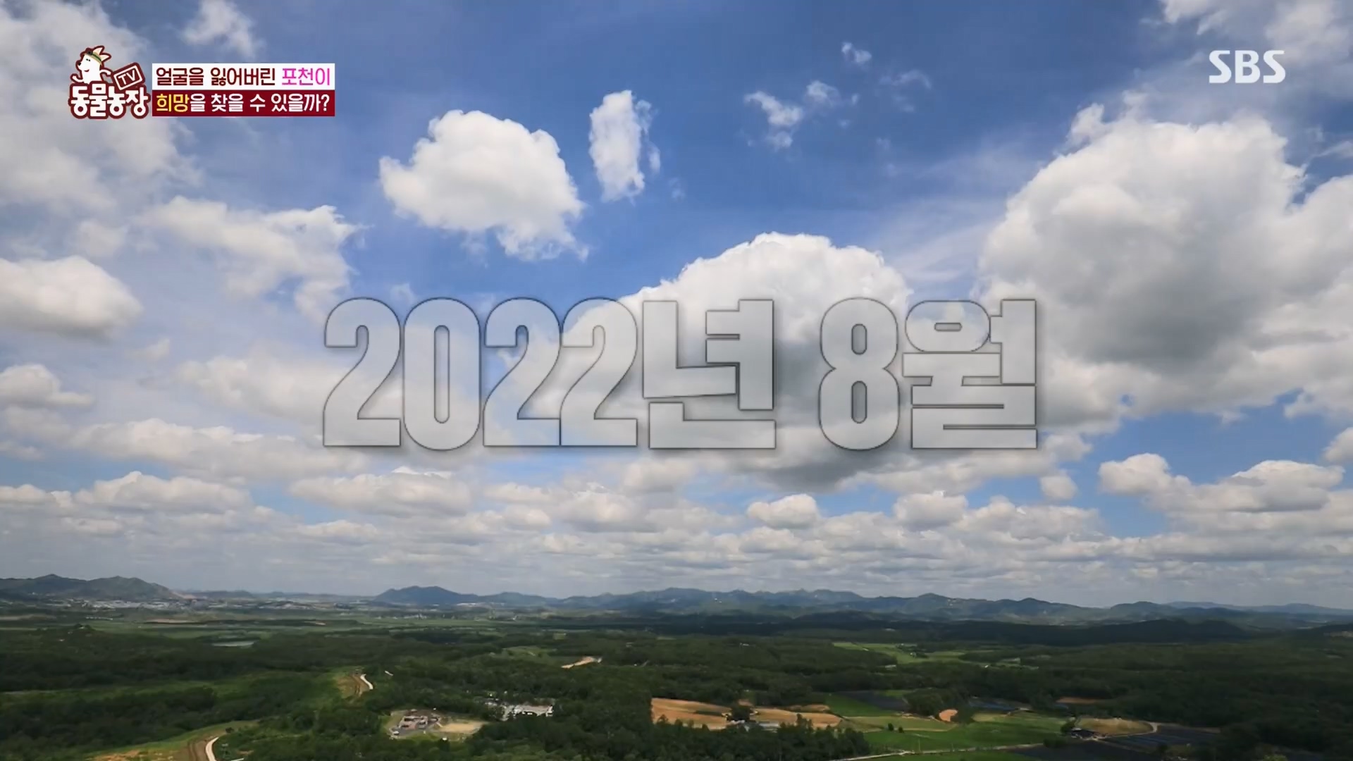 TV 동물농장.E1116.230416p.H264-F1RST.mp4_20230418_194215.374.jpg