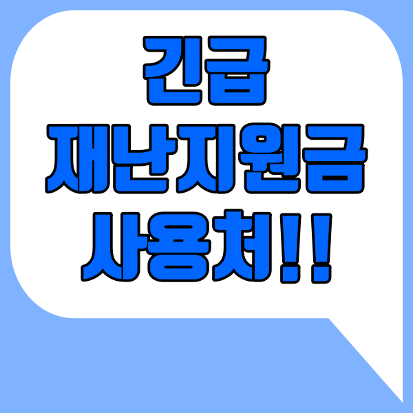  긴급 재난지원금 사용처 :: 병원 약국 온라인쇼핑 인터넷사용 편의점 등등
