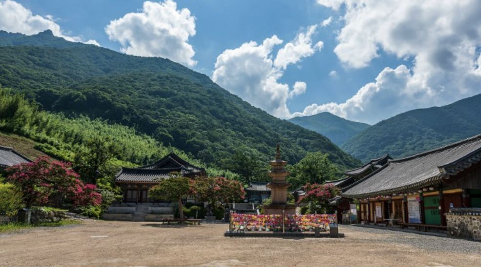 표충사