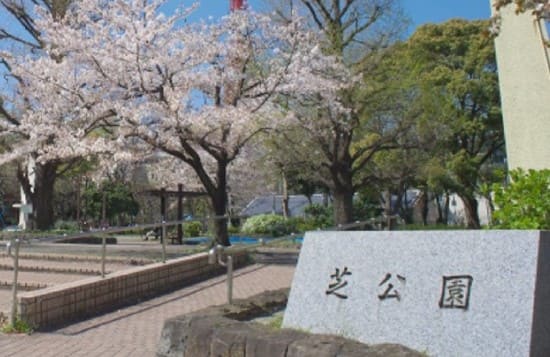 일본어로 &#39;시바 공원&#39;이라고 적혀있는 명패와 그 뒤로 벚꽃 나무가 서 있다.