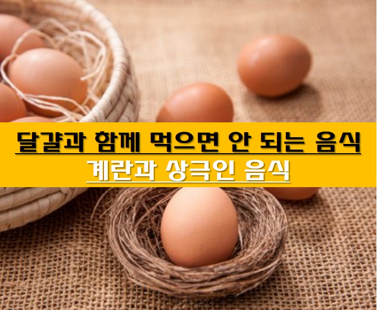 달걀이 바구니에 담겨 있는 사진