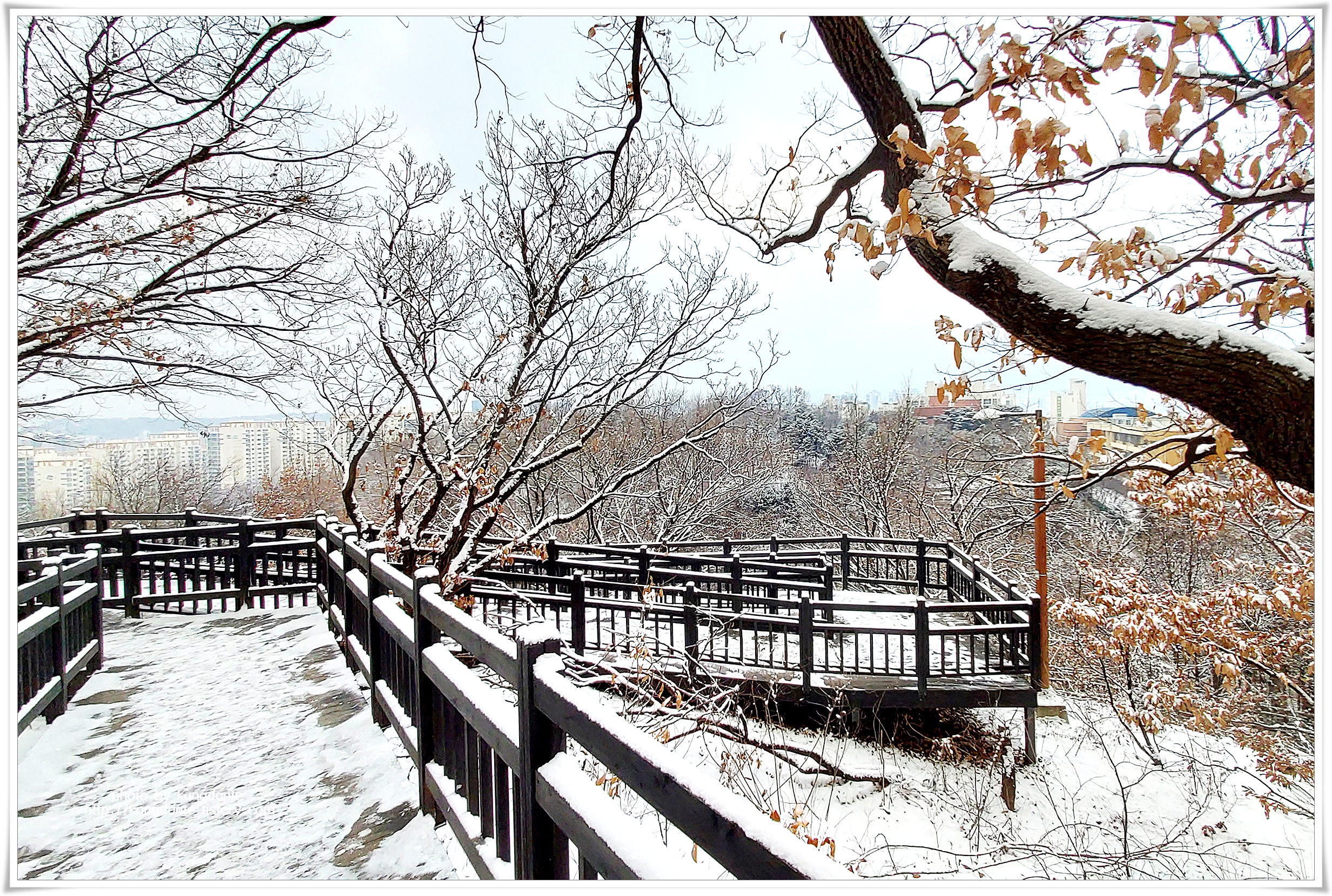 오동근린공원의 새해 첫 설경(雪景)